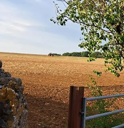 Maisondereves Theil-Rabier